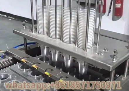 Máquina envasadora, llenadora y pesaje lineal de semillas de girasol completamente automática, máquina envasadora de nueces