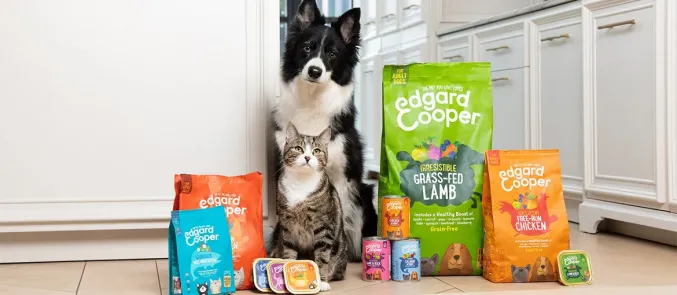 Máquina de llenado y sellado de alimentos para mascotas con bandeja de papel de aluminio