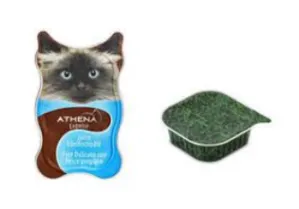 Máquina llenadora higiénica de pasta de carne para mascotas para alimentos húmedos