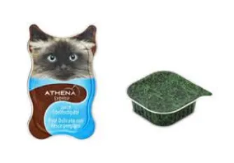 Máquina llenadora higiénica de pasta de carne para mascotas para alimentos húmedos